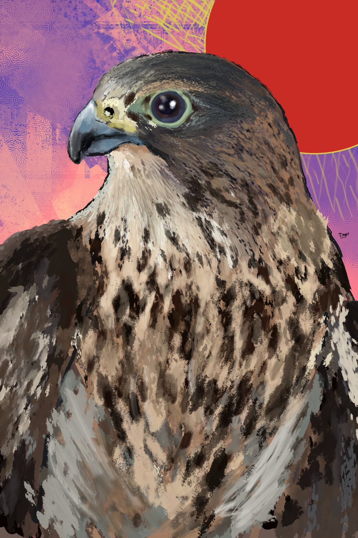 Merlin — digital artwork by Tom Myer