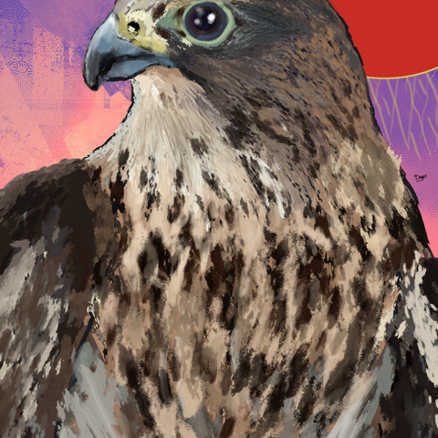 Merlin — digital artwork by Tom Myer
