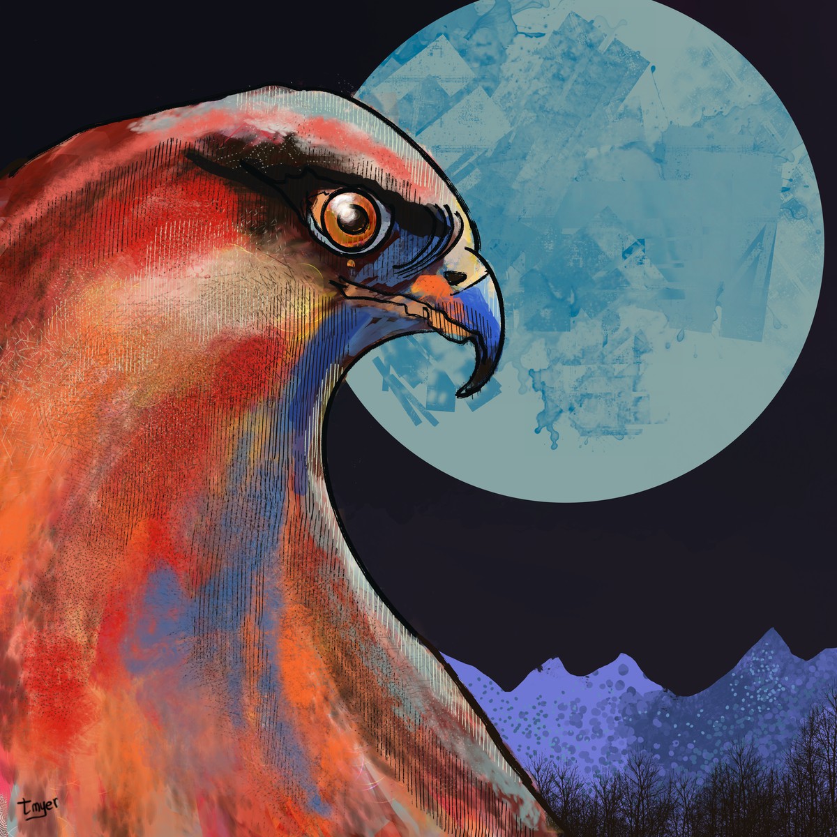 Night Hawk — digital artwork by Tom Myer